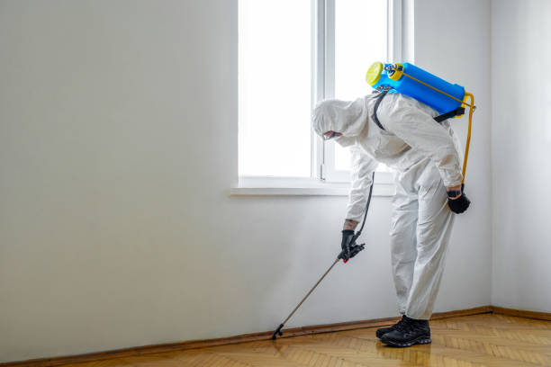 Best Pest Exclusion Services  in Mowbray Mountain, TN